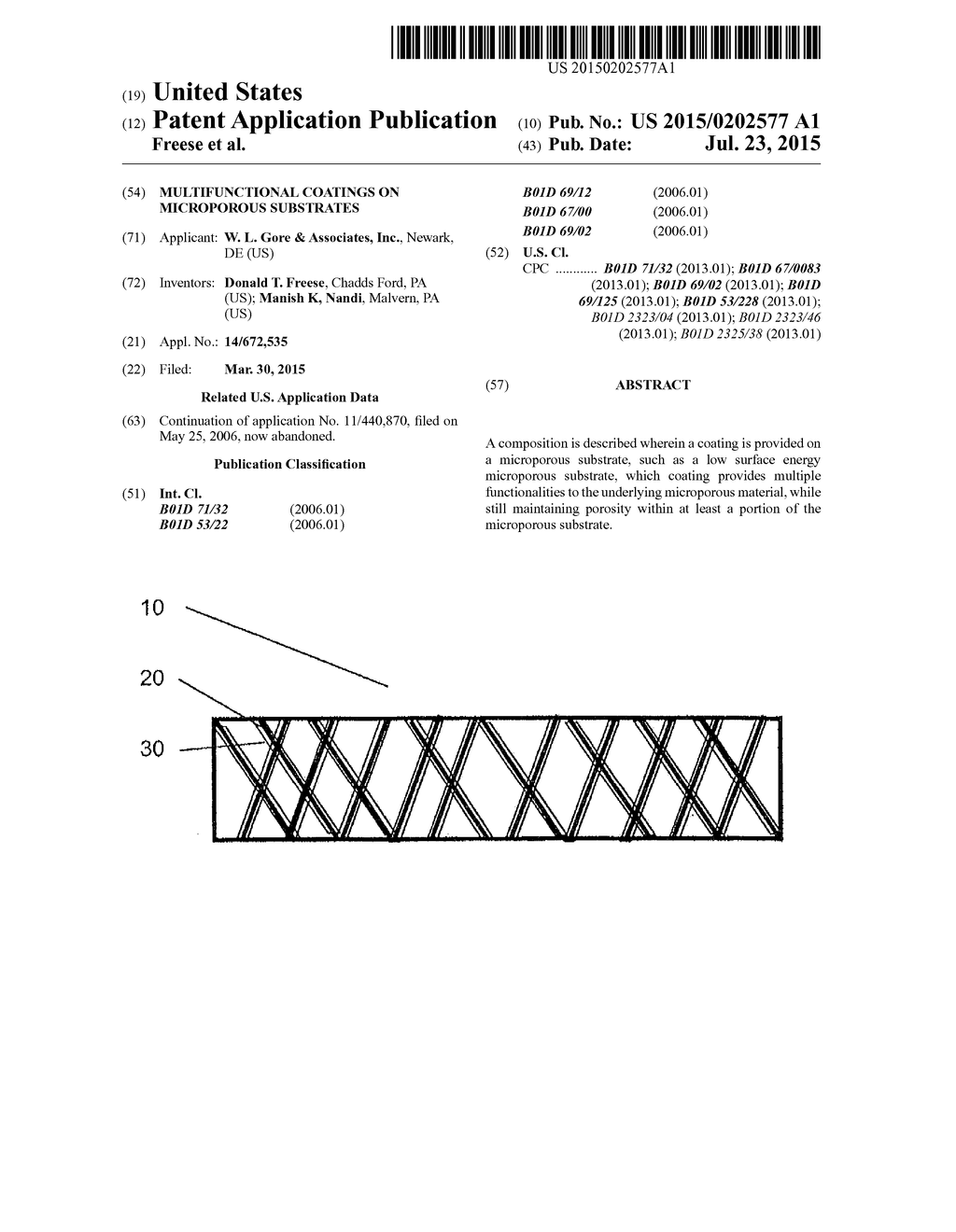 Multifunctional Coatings on Microporous Substrates - diagram, schematic, and image 01