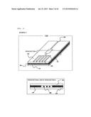 NUCLEIC ACID ANALYSIS DEVICE diagram and image