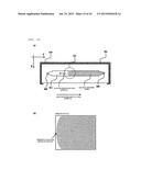 NUCLEIC ACID ANALYSIS DEVICE diagram and image