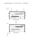 NUCLEIC ACID ANALYSIS DEVICE diagram and image