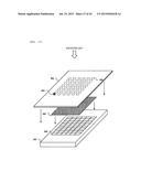 NUCLEIC ACID ANALYSIS DEVICE diagram and image