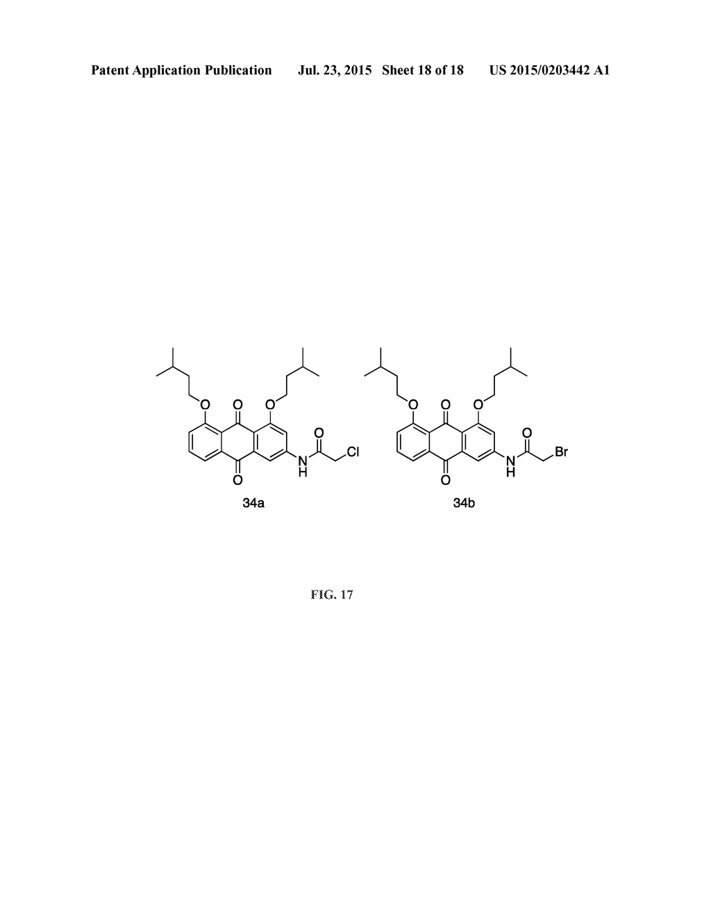 Anthraquinone Analogs and Methods of Making and Using Thereof - diagram, schematic, and image 19
