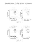 USE OF P47 FROM PLASMODIUM FALCIPARUM (PFS47) OR PLASMODIUM VIVAX (PVS47)     AS A VACCINE OR DRUG SCREENING TARGETS FOR THE INHIBITION OF HUMAN     MALARIA TRANSMISSION diagram and image