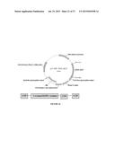 LONG-ACTING POLYPEPTIDES AND METHODS OF PRODUCING SAME diagram and image