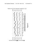 MOUSE FcgammaRII-SPECIFIC Fc ANTIBODY diagram and image