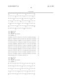 MOUSE FcgammaRII-SPECIFIC Fc ANTIBODY diagram and image