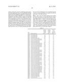 MOUSE FcgammaRII-SPECIFIC Fc ANTIBODY diagram and image