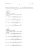 MOUSE FcgammaRII-SPECIFIC Fc ANTIBODY diagram and image