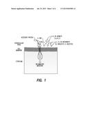 ANTI IL-36R ANTIBODIES diagram and image