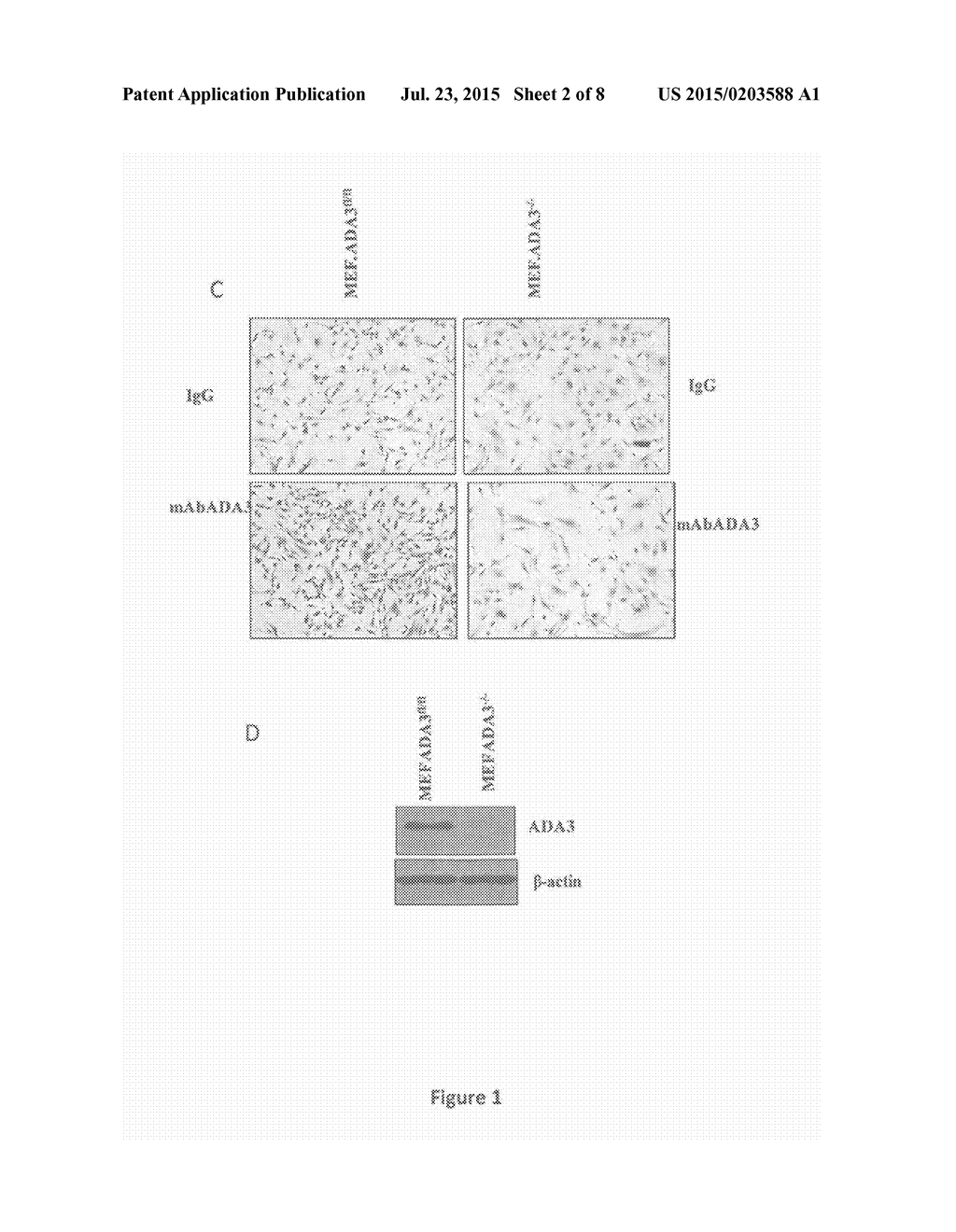 Cancer Biomarkers and Methods of Use Thereof - diagram, schematic, and image 03