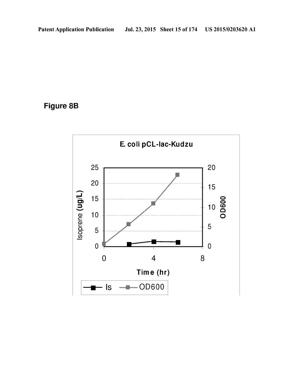 POLYMERS OF ISROPENE FROM RENEWABLE RESOURCES - diagram, schematic, and image 16