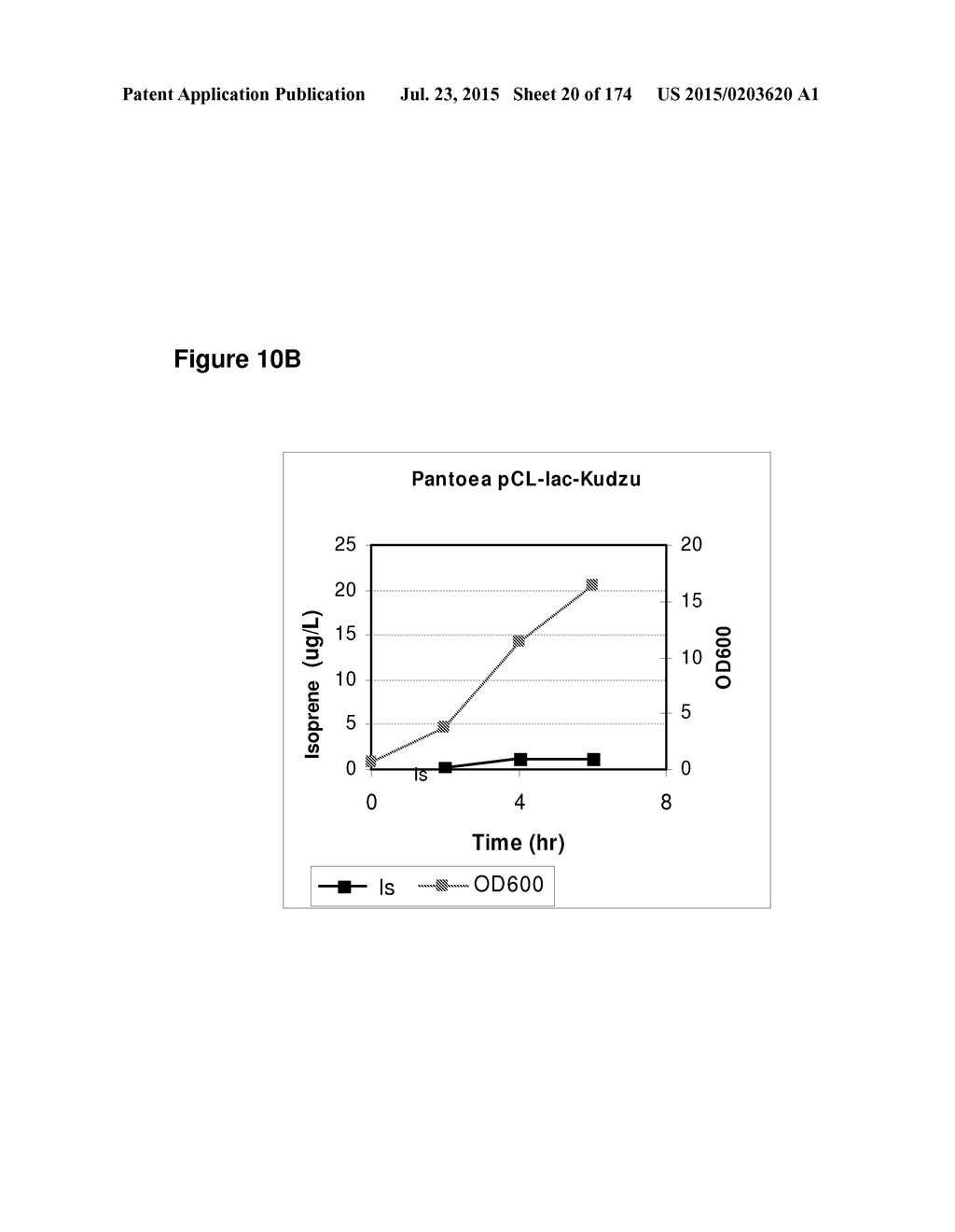 POLYMERS OF ISROPENE FROM RENEWABLE RESOURCES - diagram, schematic, and image 21