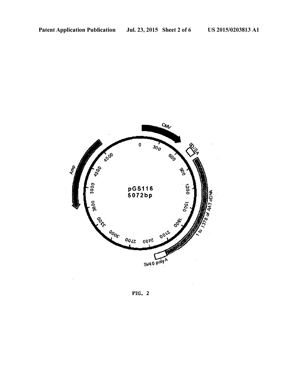 METHOD FOR THE PRODUCTION OF PERMANENT HUMAN CELL LINES - diagram, schematic, and image 03