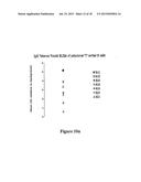 MEANS AND METHODS FOR INFLUENCING THE STABILITY OF CELLS diagram and image