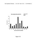 MEANS AND METHODS FOR INFLUENCING THE STABILITY OF CELLS diagram and image