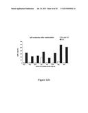 MEANS AND METHODS FOR INFLUENCING THE STABILITY OF CELLS diagram and image