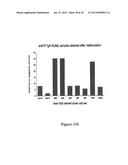 MEANS AND METHODS FOR INFLUENCING THE STABILITY OF CELLS diagram and image