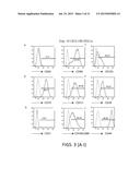 MESENCHYMAL-LIKE STEM CELLS DERIVED FROM HUMAN EMBRYONIC STEM CELLS,     METHODS AND USES THEREOF diagram and image