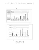 MESENCHYMAL-LIKE STEM CELLS DERIVED FROM HUMAN EMBRYONIC STEM CELLS,     METHODS AND USES THEREOF diagram and image