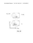 MESENCHYMAL-LIKE STEM CELLS DERIVED FROM HUMAN EMBRYONIC STEM CELLS,     METHODS AND USES THEREOF diagram and image