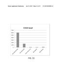 MESENCHYMAL-LIKE STEM CELLS DERIVED FROM HUMAN EMBRYONIC STEM CELLS,     METHODS AND USES THEREOF diagram and image