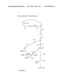 METHODS AND COMPOSITIONS FOR THE AUGMENTATION OF PYRUVATE AND ACETYL-COA     FORMATION diagram and image