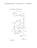 METHODS AND COMPOSITIONS FOR THE AUGMENTATION OF PYRUVATE AND ACETYL-COA     FORMATION diagram and image