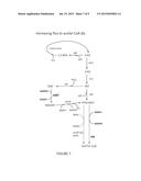 METHODS AND COMPOSITIONS FOR THE AUGMENTATION OF PYRUVATE AND ACETYL-COA     FORMATION diagram and image