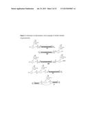 CHEMICAL MODIFICATIONS OF MONOMERS AND OLIGONUCLEOTIDES WITH CYCLOADDITION diagram and image