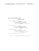 CHEMICAL MODIFICATIONS OF MONOMERS AND OLIGONUCLEOTIDES WITH CYCLOADDITION diagram and image