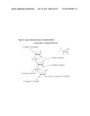 CHEMICAL MODIFICATIONS OF MONOMERS AND OLIGONUCLEOTIDES WITH CYCLOADDITION diagram and image
