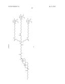 CHEMICAL MODIFICATIONS OF MONOMERS AND OLIGONUCLEOTIDES WITH CYCLOADDITION diagram and image