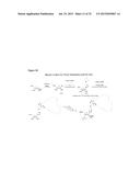 CHEMICAL MODIFICATIONS OF MONOMERS AND OLIGONUCLEOTIDES WITH CYCLOADDITION diagram and image