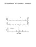 CHEMICAL MODIFICATIONS OF MONOMERS AND OLIGONUCLEOTIDES WITH CYCLOADDITION diagram and image