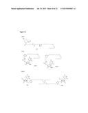 CHEMICAL MODIFICATIONS OF MONOMERS AND OLIGONUCLEOTIDES WITH CYCLOADDITION diagram and image