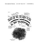 E. COLI PLASMID DNA PRODUCTION diagram and image