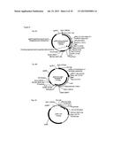 E. COLI PLASMID DNA PRODUCTION diagram and image