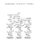 NOVEL GLYCOSYLTRANSFERASE GENE AND USE THEREOF diagram and image