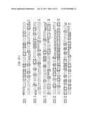 NOVEL GLYCOSYLTRANSFERASE GENE AND USE THEREOF diagram and image