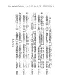 NOVEL GLYCOSYLTRANSFERASE GENE AND USE THEREOF diagram and image