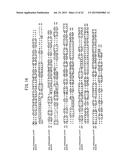 NOVEL GLYCOSYLTRANSFERASE GENE AND USE THEREOF diagram and image