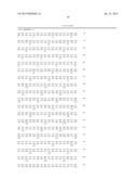 NOVEL GLYCOSYLTRANSFERASE GENE AND USE THEREOF diagram and image