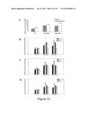 MYB55 PROMOTER AND USE THEREOF diagram and image