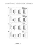 MYB55 PROMOTER AND USE THEREOF diagram and image