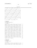 MYB55 PROMOTER AND USE THEREOF diagram and image