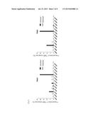 Method for Cloning T Cell Receptor diagram and image