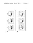 Method for Cloning T Cell Receptor diagram and image