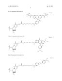 METHOD FOR AMPLIFYING NUCLEIC ACID AND METHOD FOR DETECTING AMPLIFIED     NUCLEIC ACID diagram and image