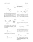 METHOD FOR AMPLIFYING NUCLEIC ACID AND METHOD FOR DETECTING AMPLIFIED     NUCLEIC ACID diagram and image