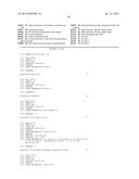 METHOD FOR AMPLIFYING NUCLEIC ACID AND METHOD FOR DETECTING AMPLIFIED     NUCLEIC ACID diagram and image